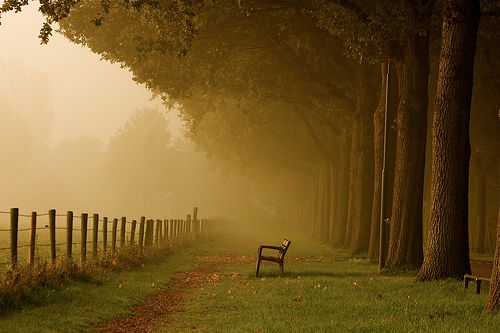 Take a seat and Enjoy Autumn! (by buteijn)